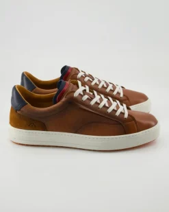 Anopolis Sneaker in Braun