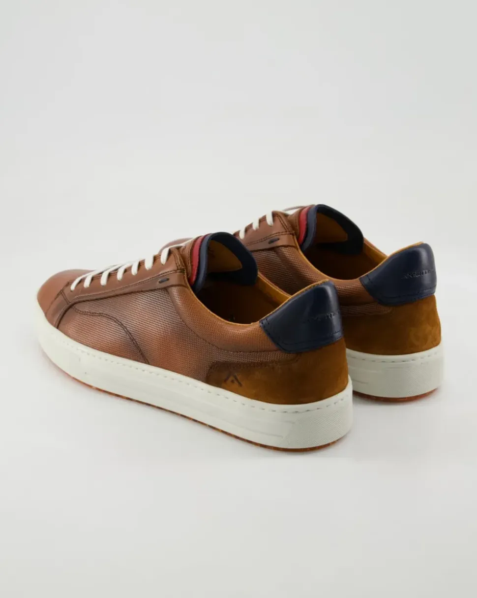 Anopolis Sneaker in Braun