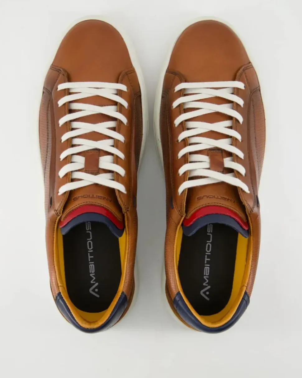 Anopolis Sneaker in Braun