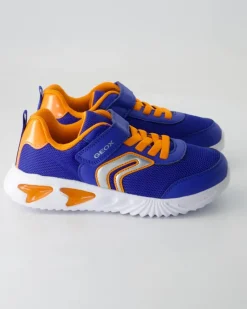 Assister Boy Sneaker in Blau