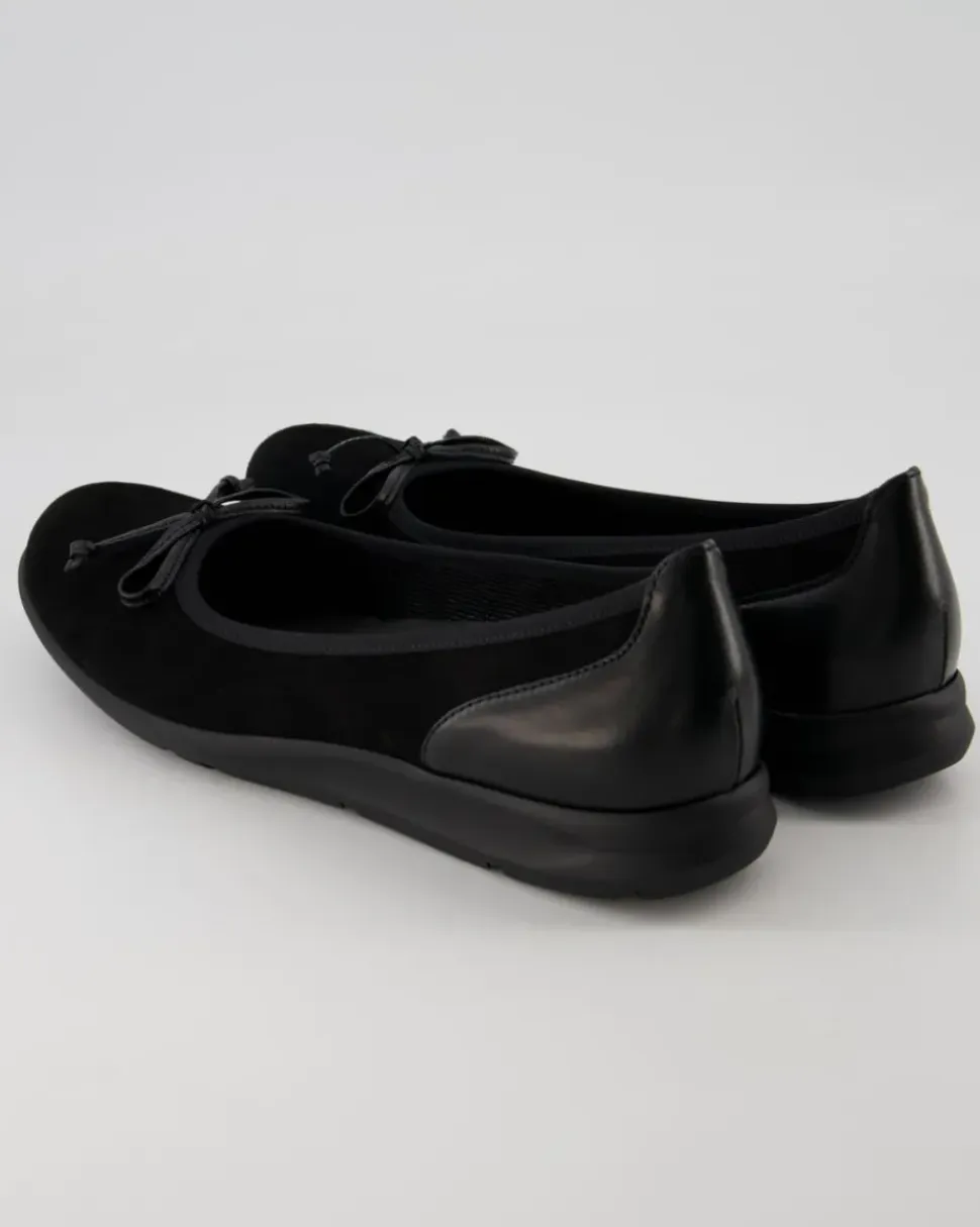 24.171.17 Ballerinas in Schwarz