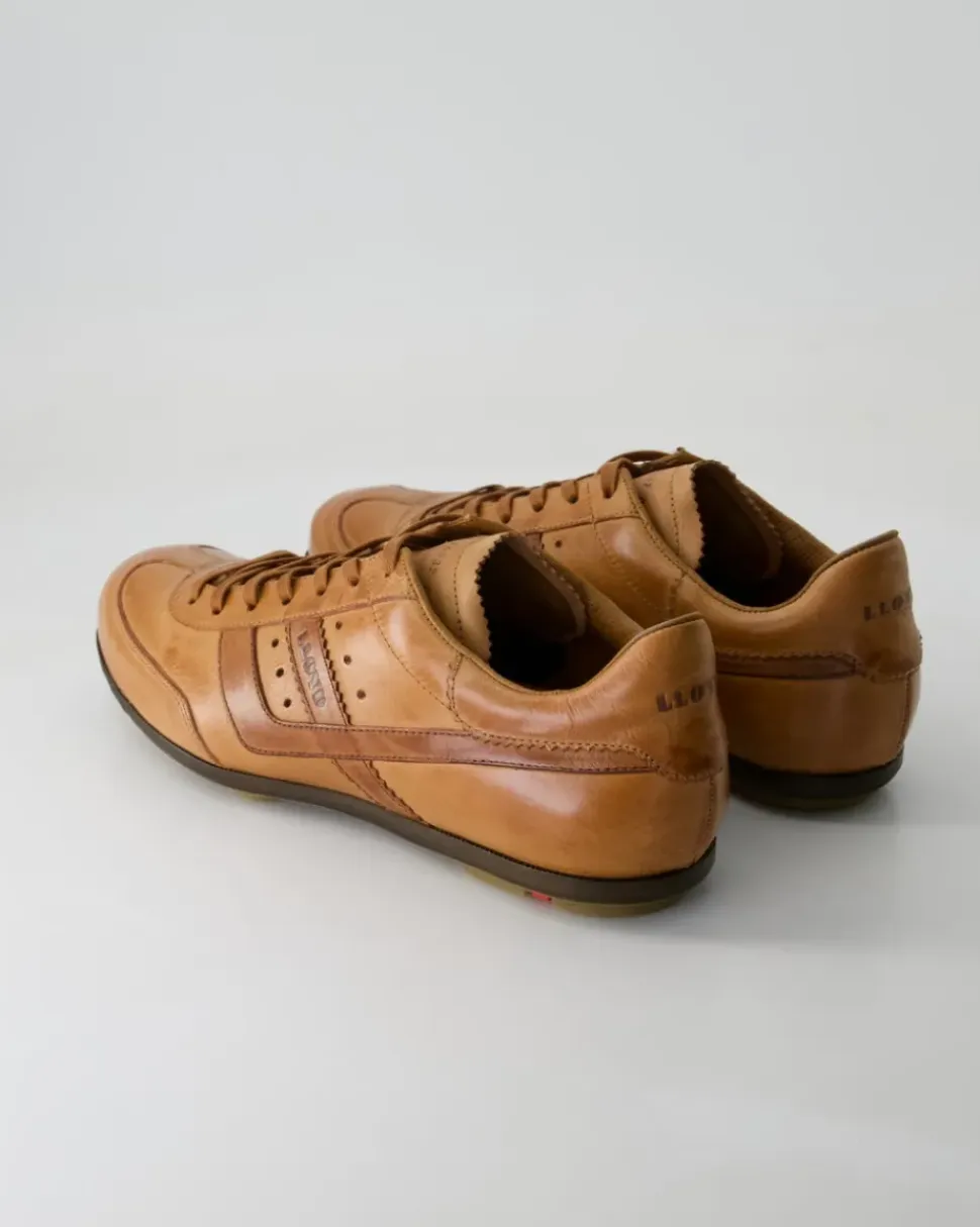 BARRY Sneaker in Braun