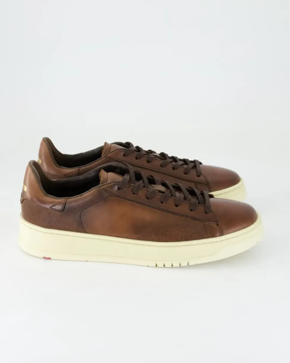 BLACKWELL Sneaker in Braun