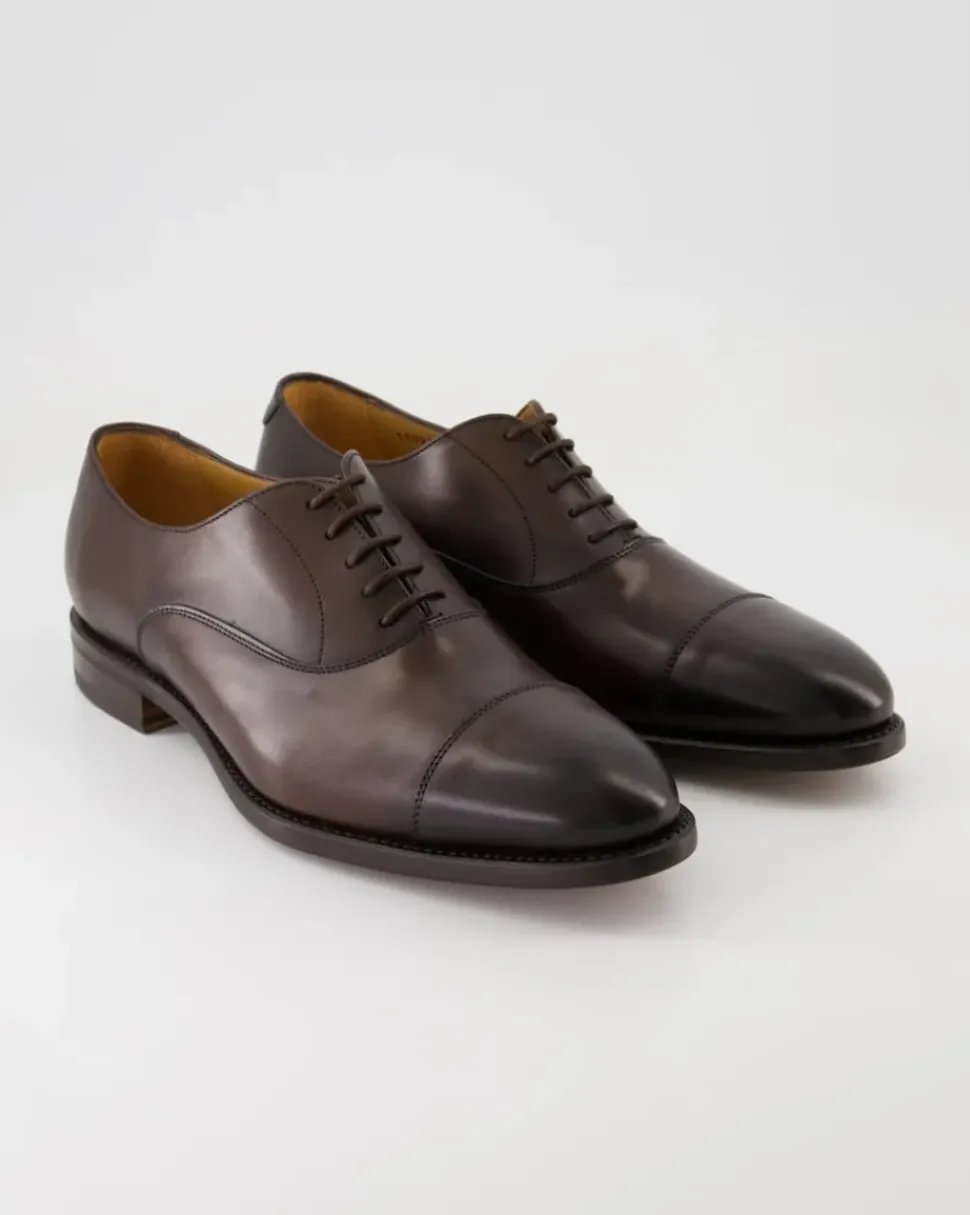 4311 Business Schuhe in Braun