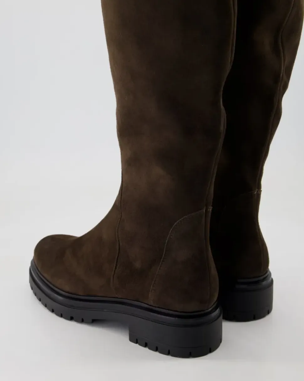Carlotta Stiefel in Braun