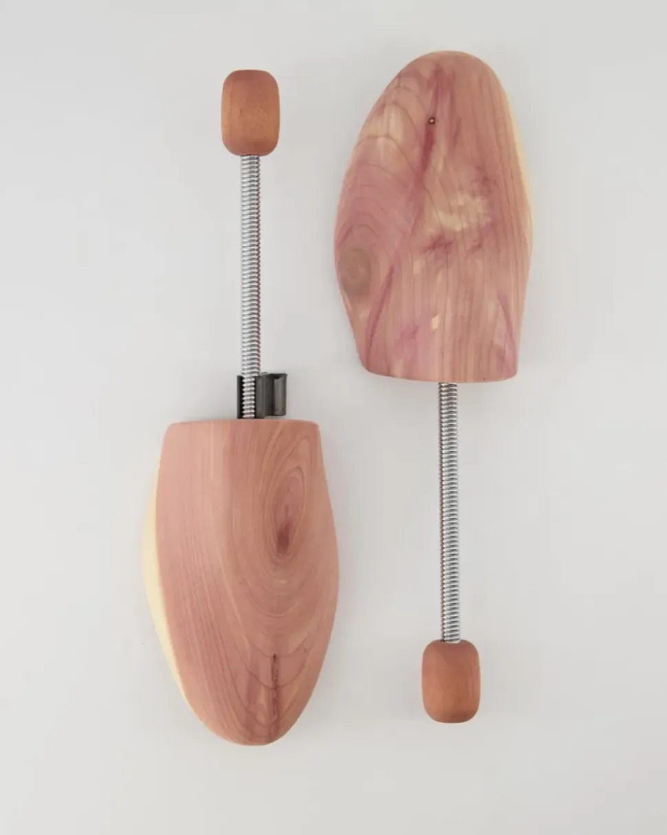 Cedar Coil Uni H Schuhspanner in Braun