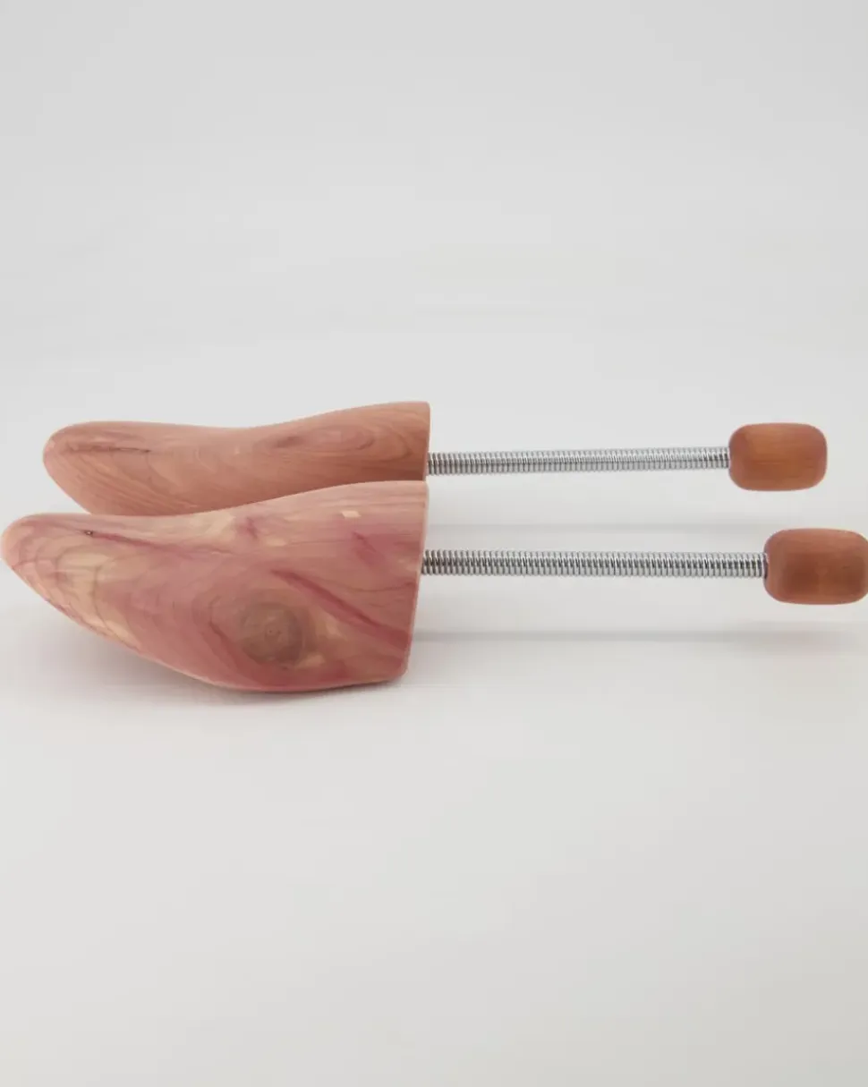 Cedar Coil Uni H Schuhspanner in Braun