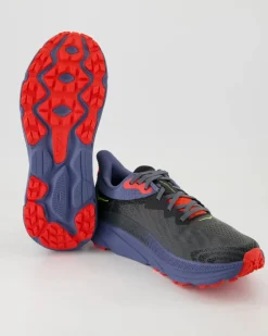 Challenger ATR 7 Sportschuhe in Grau