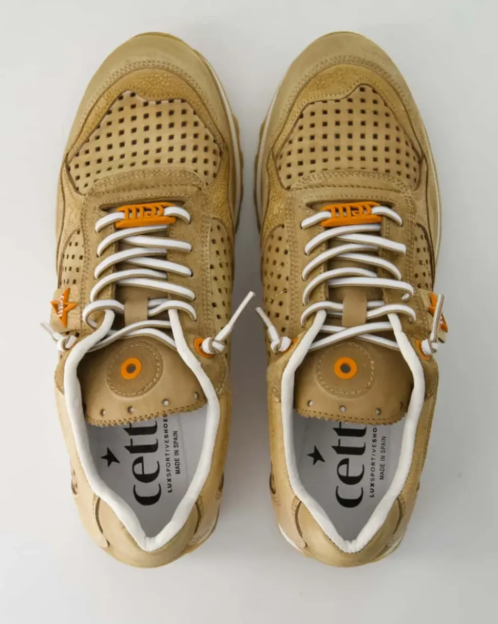 C848 Sneaker in Braun