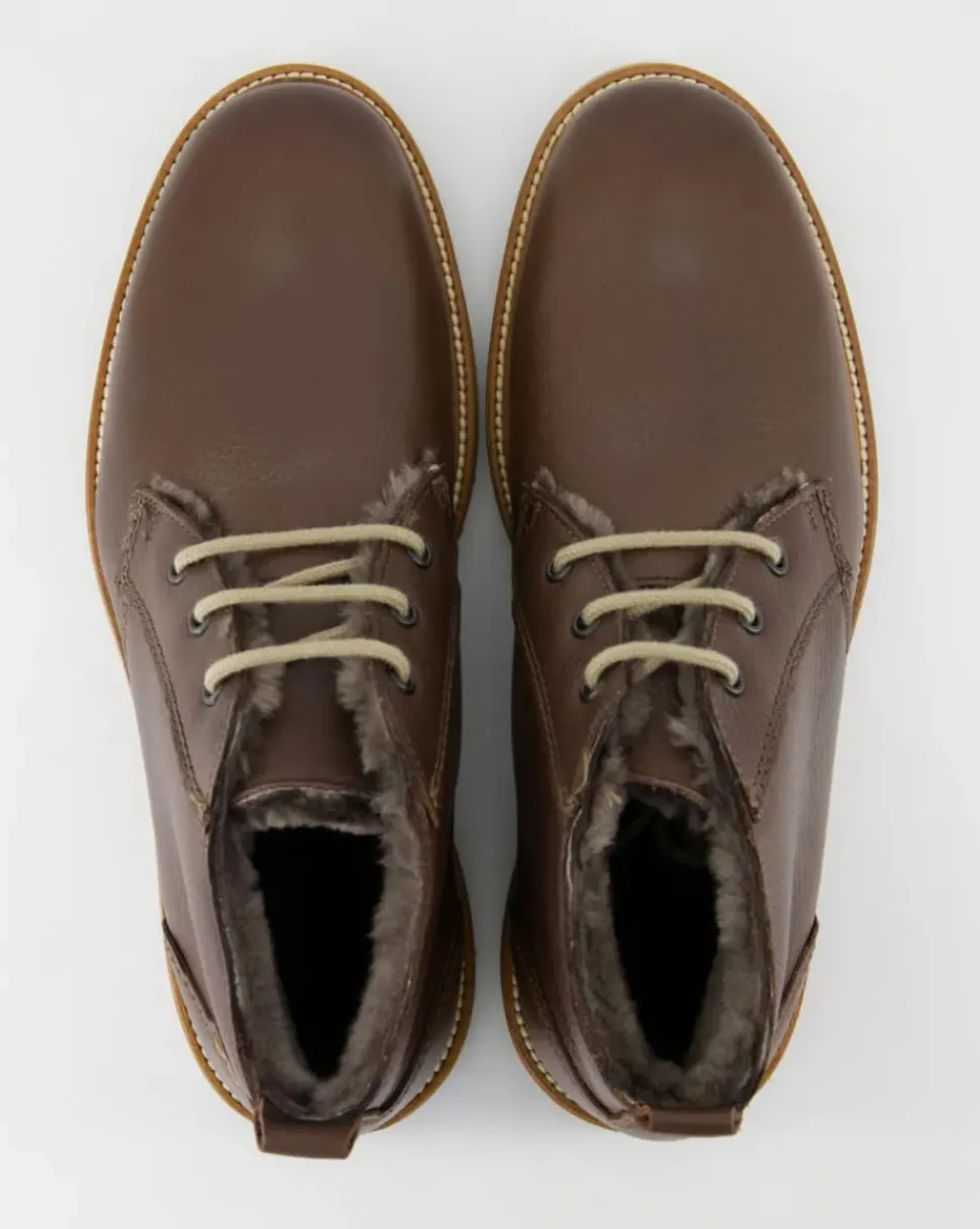 DARROW Schnürstiefel in Braun