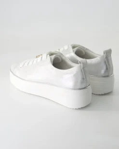 D1C03-81 Sneaker in Silber