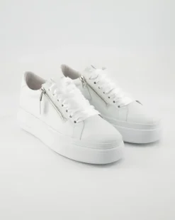 Dive Sneaker in Weiß