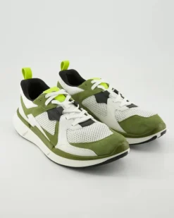 ECCO BIOM 2.2 M Sneaker in Grün