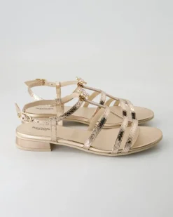 E513270D-660 Sandalen in Bronze