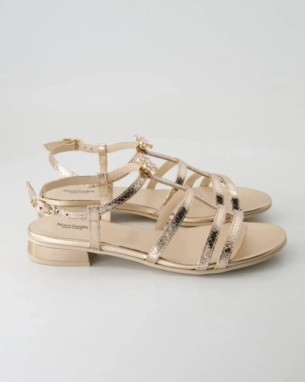 E513270D-660 Sandalen in Bronze
