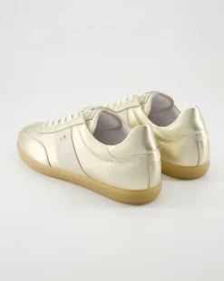 E512850D-418 Sneaker in Gold