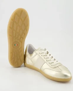 E512850D-418 Sneaker in Gold