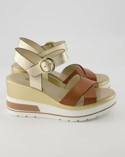 E218737D-329 Wedges in Gold
