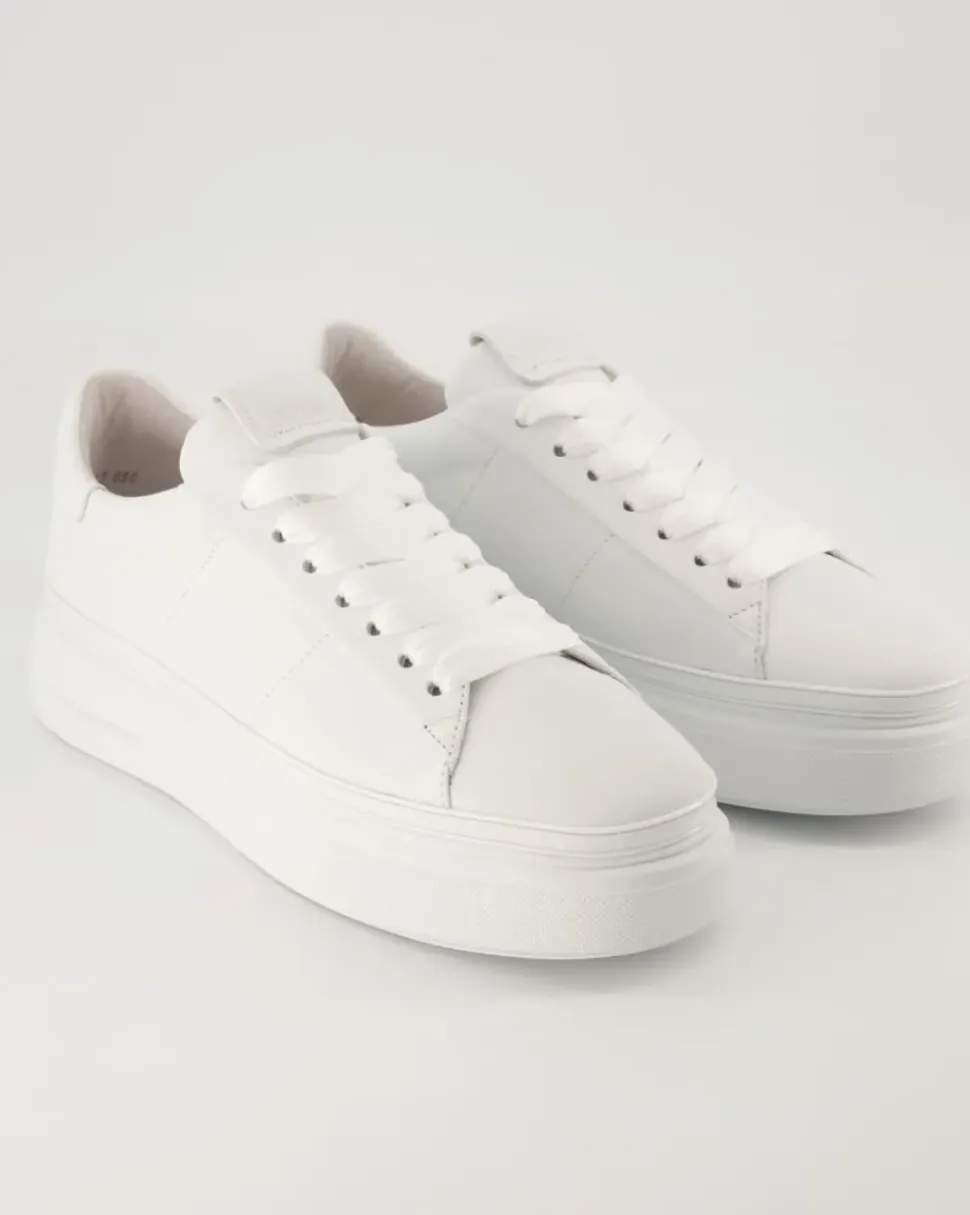 Elan Schnürschuhe in Weiß