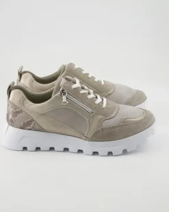 H-Ajala Schnürschuhe in Beige