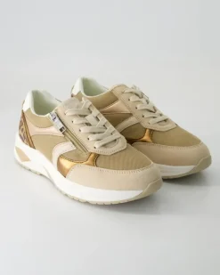 H-Jill Schnürschuhe in Beige