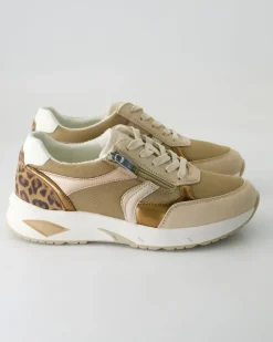 H-Jill Schnürschuhe in Beige