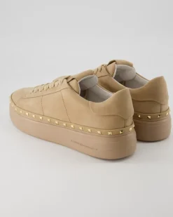 Hot Sneaker in Beige