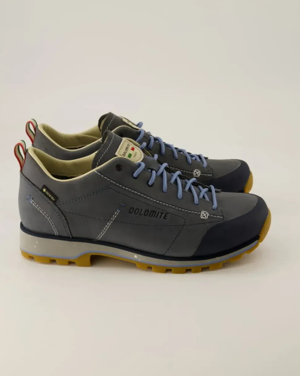 Low Fg Evo GTX Wanderschuhe in Blau