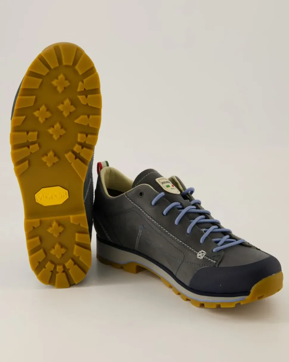 Low Fg Evo GTX Wanderschuhe in Blau