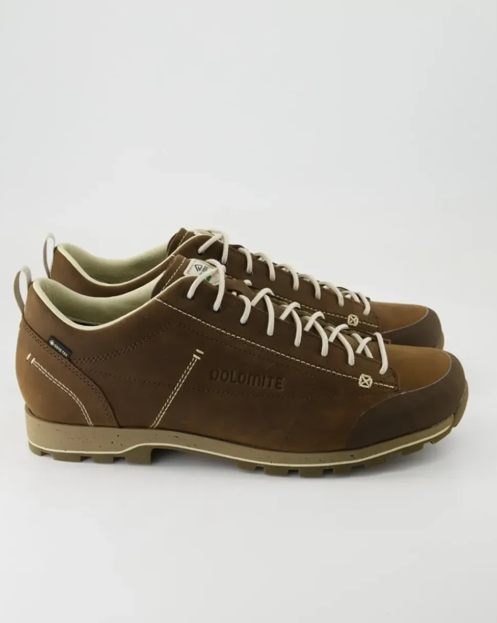 Low Fg Evo GTX Wanderschuhe in Braun