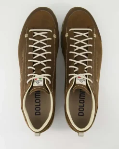 Low Fg Evo GTX Wanderschuhe in Braun