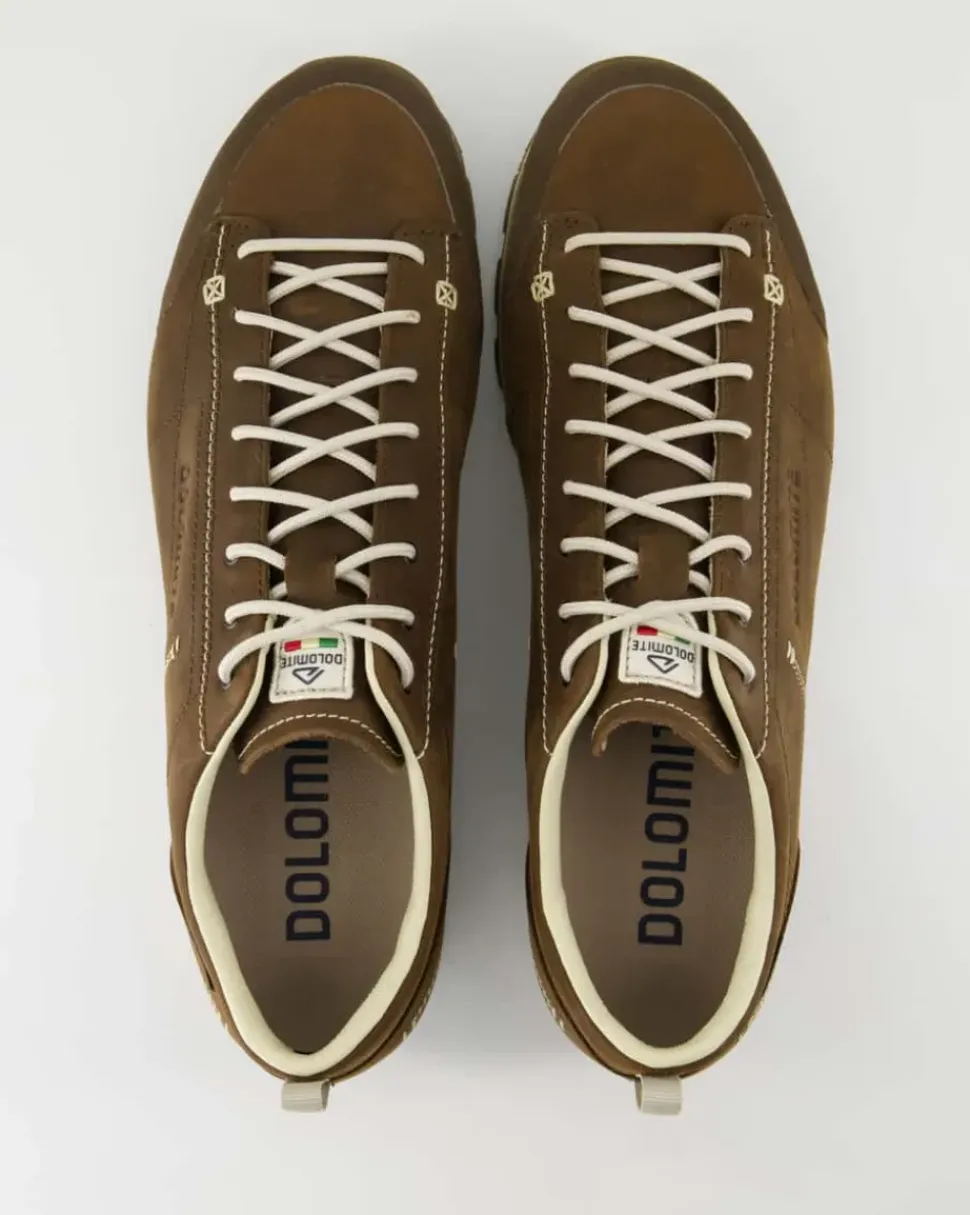 Low Fg Evo GTX Wanderschuhe in Braun