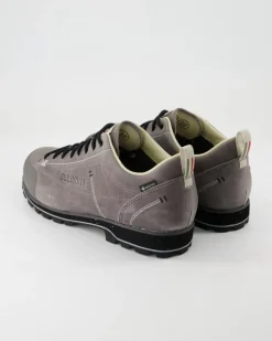 Low Fg Evo GTX Wanderschuhe in Grau