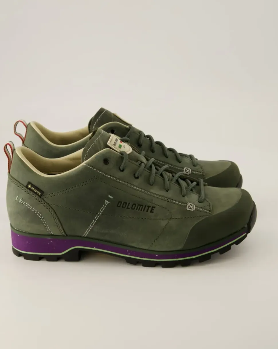 Low Fg Evo GTX Wanderschuhe in Grün