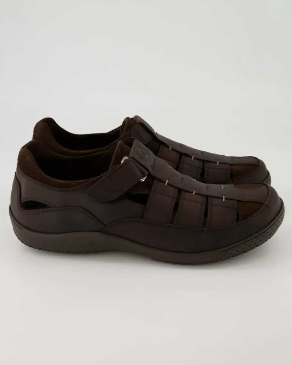 Meridian Basics C1 Slipper in Braun
