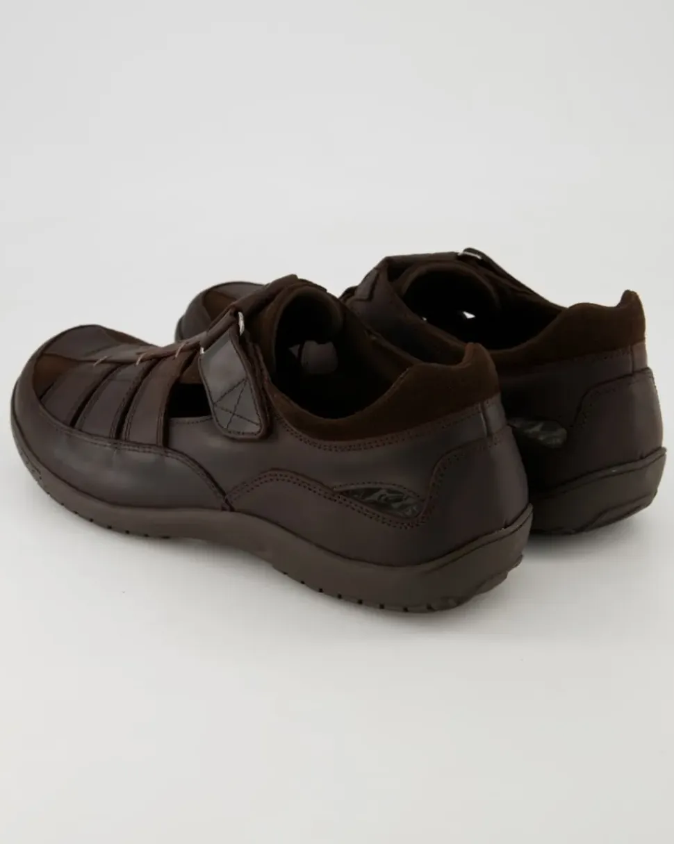 Meridian Basics C1 Slipper in Braun