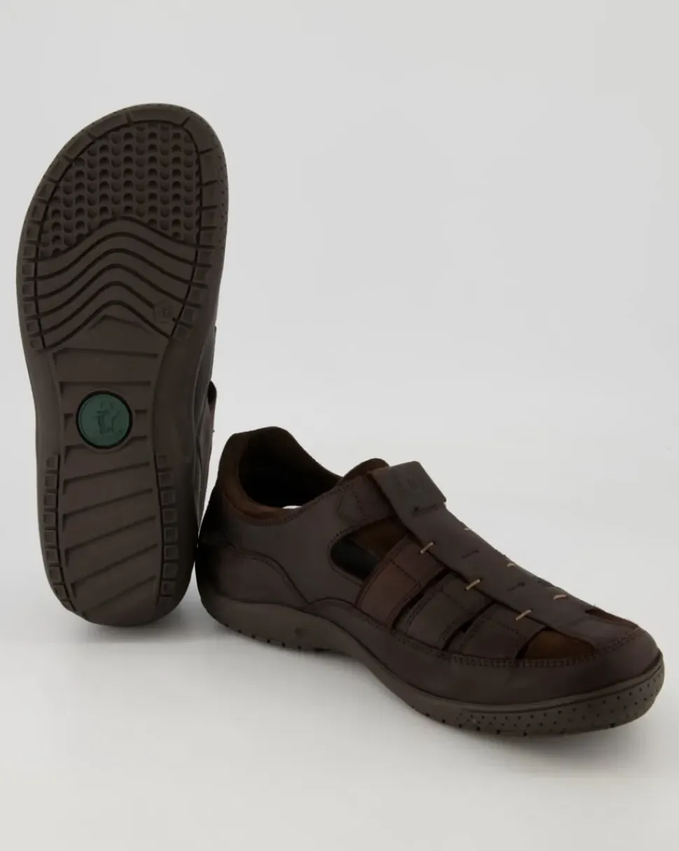 Meridian Basics C1 Slipper in Braun
