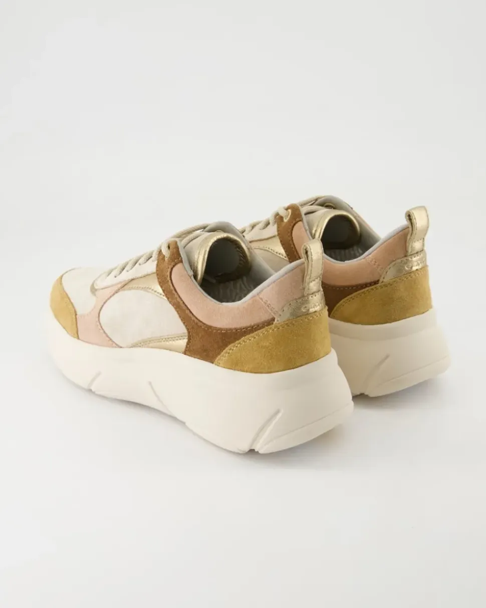 Nebula 2.0 Sneaker in Beige