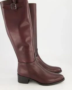 N50 Schaftstiefel in Bordeaux