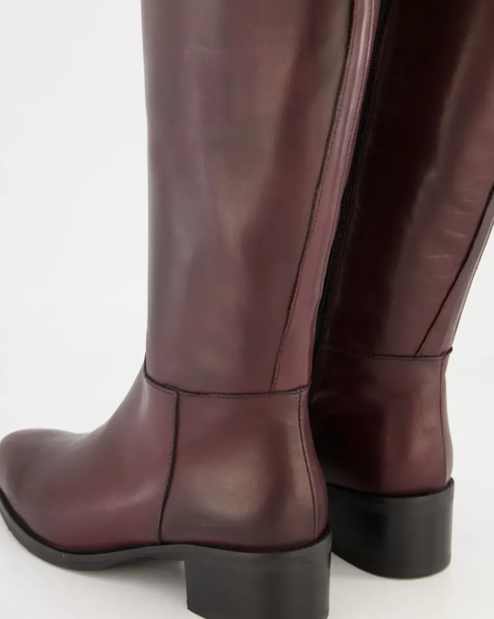 N50 Schaftstiefel in Bordeaux