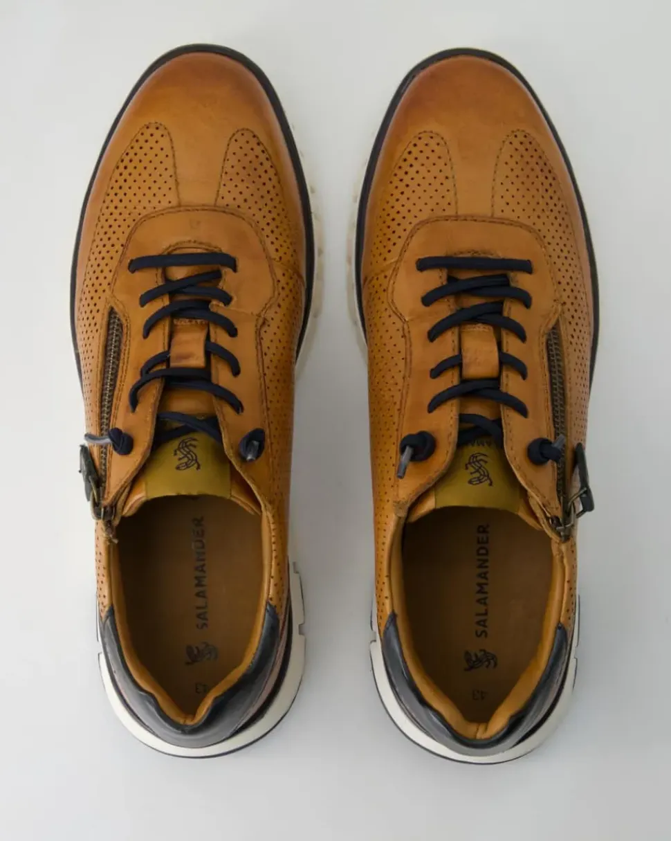 Polch Sneaker in Braun