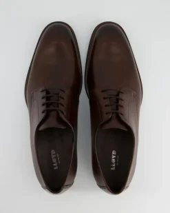 SABRE Business Schuhe in Braun
