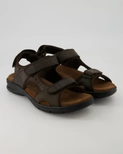 Salton Basics C1 Sandalen in Braun