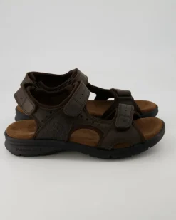 Salton Basics C1 Sandalen in Braun