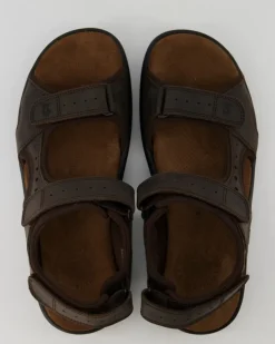 Salton Basics C1 Sandalen in Braun