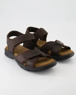 Sanders Basics C1 Sandalen in Braun