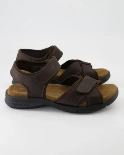 Sanders Basics C1 Sandalen in Braun