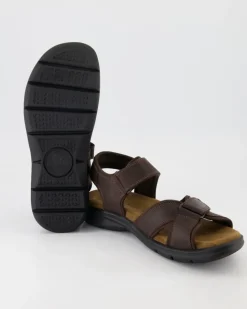 Sanders Basics C1 Sandalen in Braun