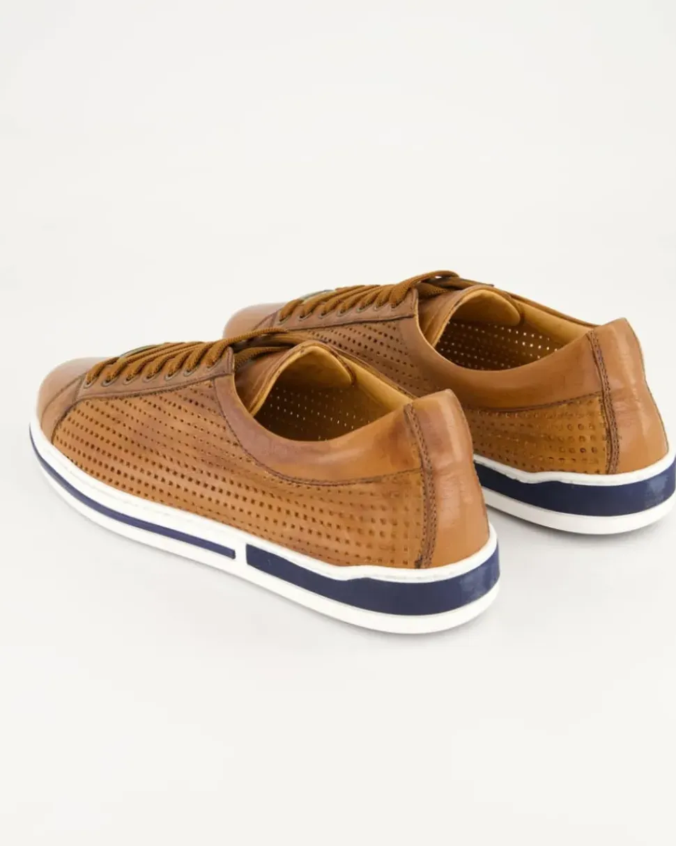 19856 Schnürschuhe in Braun
