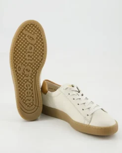 5464 Sneaker in Beige